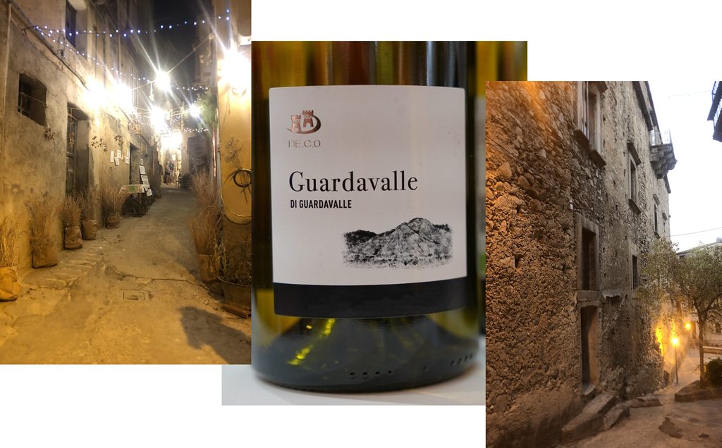 Vino Guardavalle e territorio